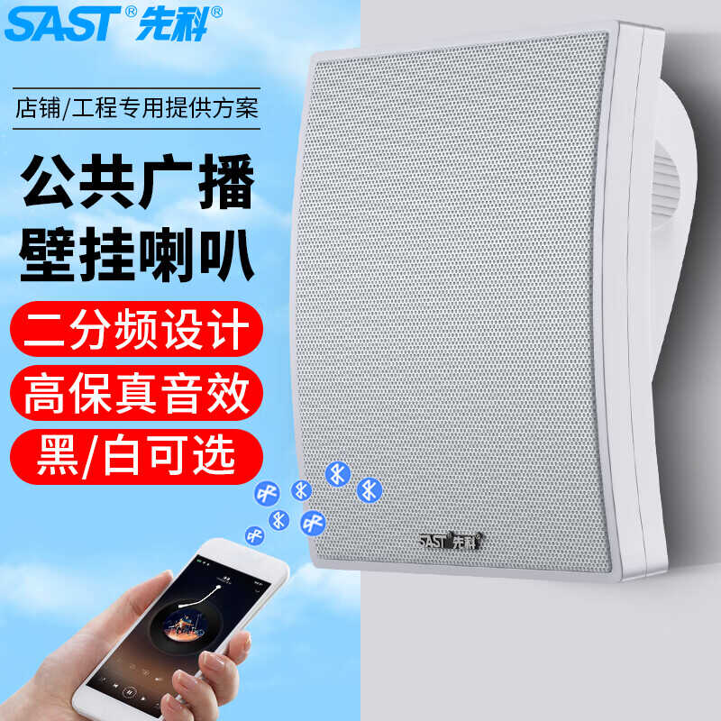 SAST/先科 A6定压壁挂音响餐厅理发店会议背景音乐广播音箱喇叭