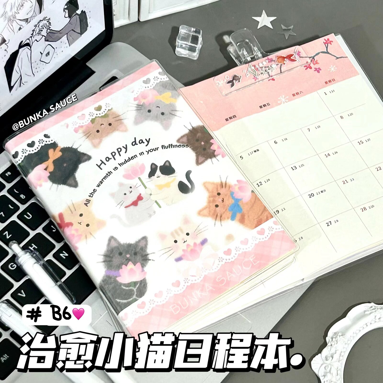 小红书同款2026治愈小猫日程计划