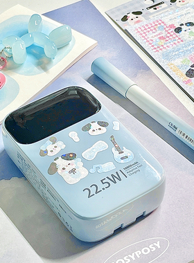 Roiskin超Q充电宝高端20000毫安超级快充自带线飞机可携带小巧便携大容量一万适用华为小米苹果手机移动电源