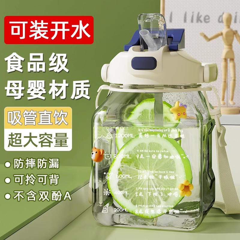 大肚杯大容量耐高温儿童水杯女新款2023高颜值吸管杯子成人水壶
