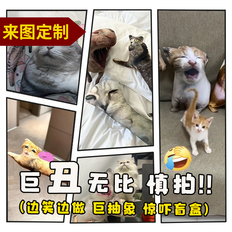 无白边人形抱枕定制玩偶定制抠图包丑猫娃娃猫咪diy照片搞怪礼物