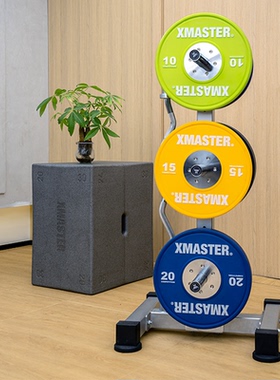 XMASTER电镀杠铃片存片架杠铃杆储存架奥片存放架大孔片放置