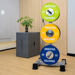 XMASTER电镀杠铃片存片架杠铃杆储存架奥片存放架大孔片放置