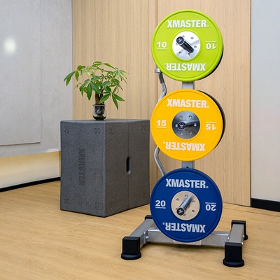 XMASTER电镀杠铃片存片架杠铃杆储存架奥片存放架大孔片放置