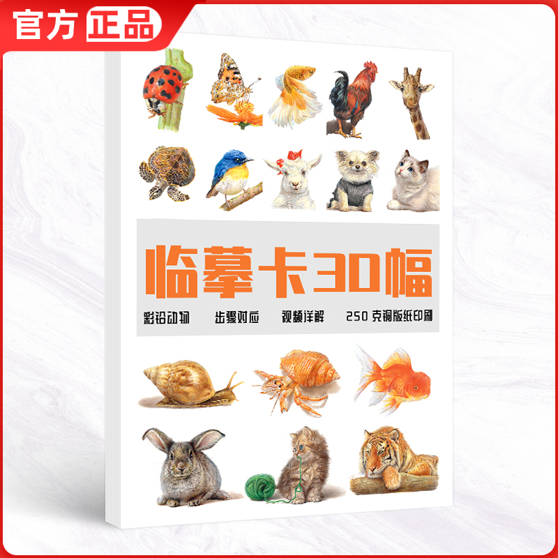 彩铅动物临摹卡30幅 高清卡片彩色铅笔手绘画入门练习零基础超写实自学初学者初级精微创意狗狗画册教材教学
