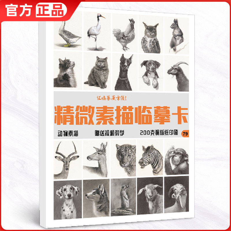 精微素描临摹卡动物 一线卡片高清素材练习创意单体组合步骤结构国美