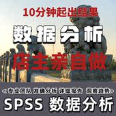 代 SPSS数据分析 实证分析 问卷分析 问卷设计 SPSS数据代分析