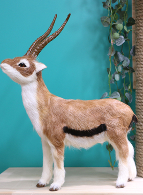 小号仿真动物藏羚羊摆件