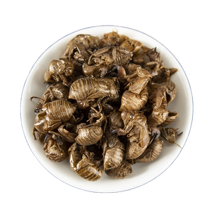 野生蝉蜕100g克蝉衣新货金蝉衣知了皮知了壳虫退蝉退壳中药材包邮