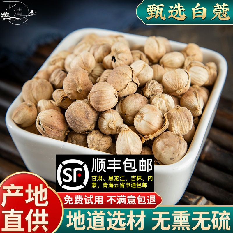 白豆蔻50g香料多骨 壳蔻白蔻 百叩 叩仁 白蔻仁 白扣可打粉