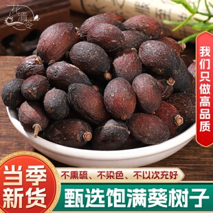 野生葵树子中药材500g250g广西大粒葵树籽老果蒲扇子葵扇籽蒲葵籽