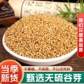 谷芽500g250g中药材炒谷芽谷牙炒熟谷芽泡茶另有炒麦芽山楂鸡内金