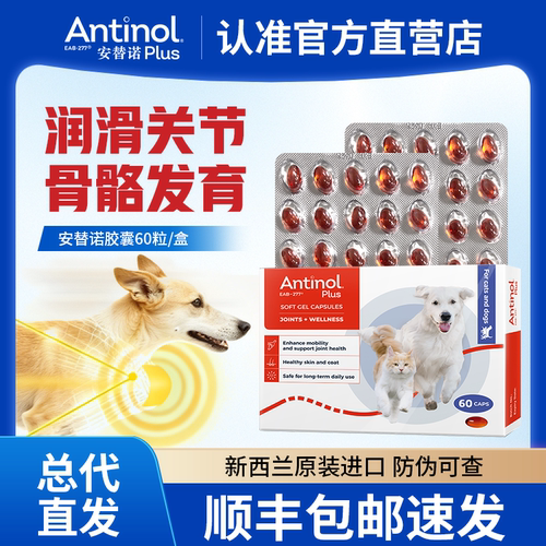 安它诺软骨素凯塔斯保护软骨关节