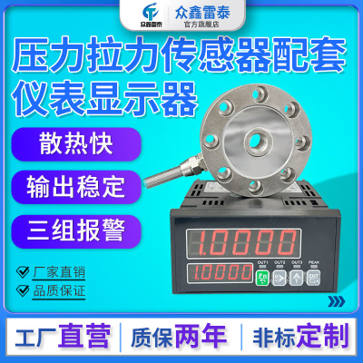 RS4850-10V智能称重仪表拉压力
