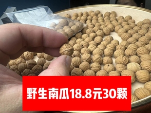 洛宁官庄猴头野生南瓜风羽散籽批发手串手持佛珠手链雕刻专用核桃