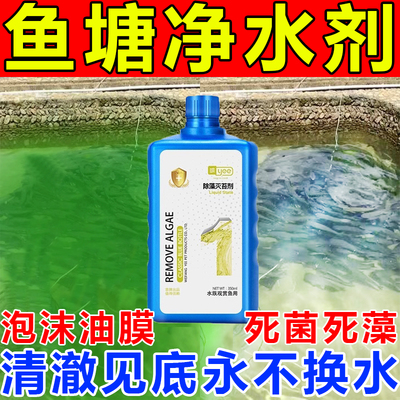 鱼塘水质净化剂强效除绿水碱油膜