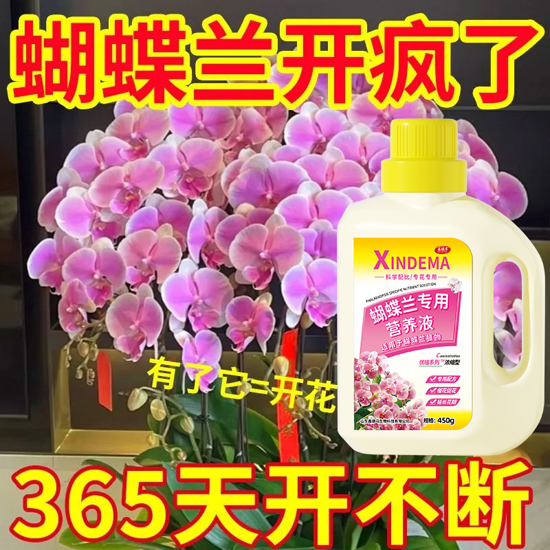 鑫德马蝴蝶兰专用肥营养液