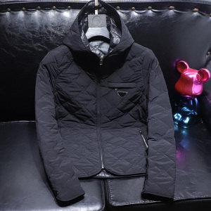 欧货高端休闲棉服男外套2024秋冬带帽轻薄款棉衣外套  89907-P180图片