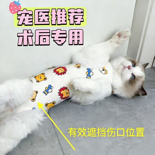 猫咪术后透气四脚衣小熊遮挡伤