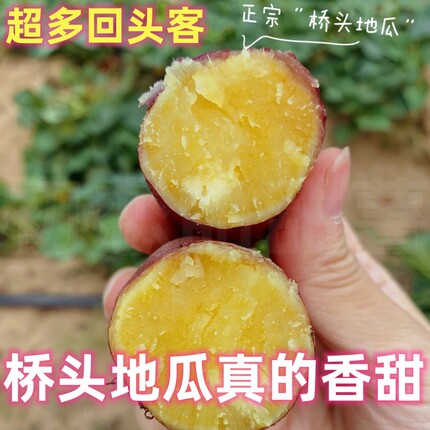 红薯新鲜 海南桥头红薯 正宗澄迈桥头地瓜新鲜富硒板栗薯黄心蜜薯