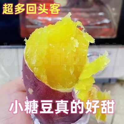 日本玛莎莉红薯 新鲜糖豆红薯  引种香甜黄心蜜薯 5斤装 精选圆果