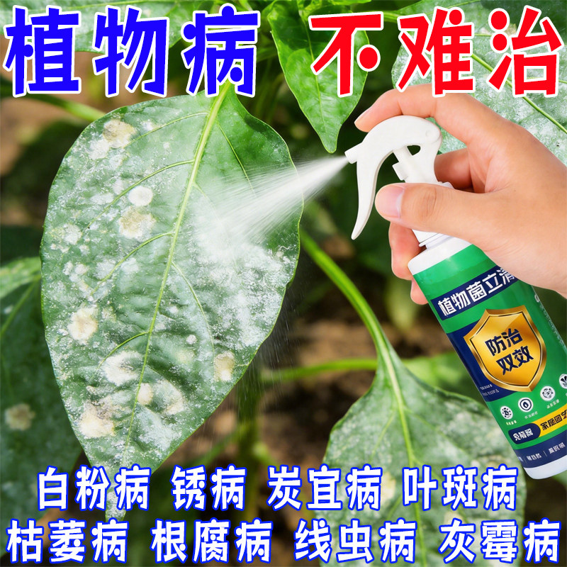植物菌立清杀菌剂通用型家庭园艺