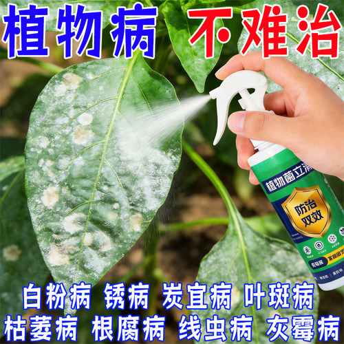 植物菌立清杀菌剂通用型家庭园艺