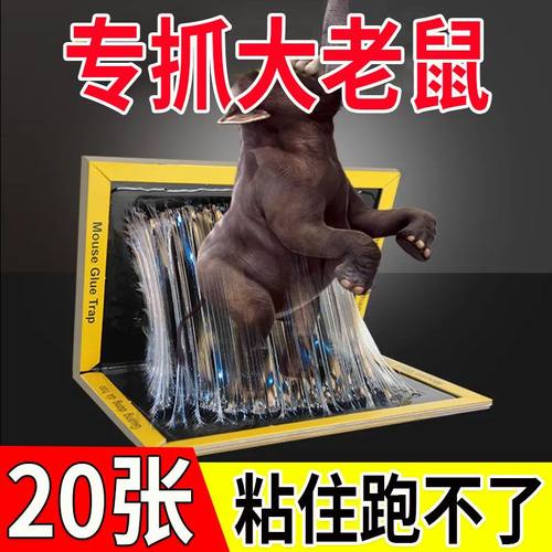 专抓大老鼠贴粘鼠板超强胶水灭鼠