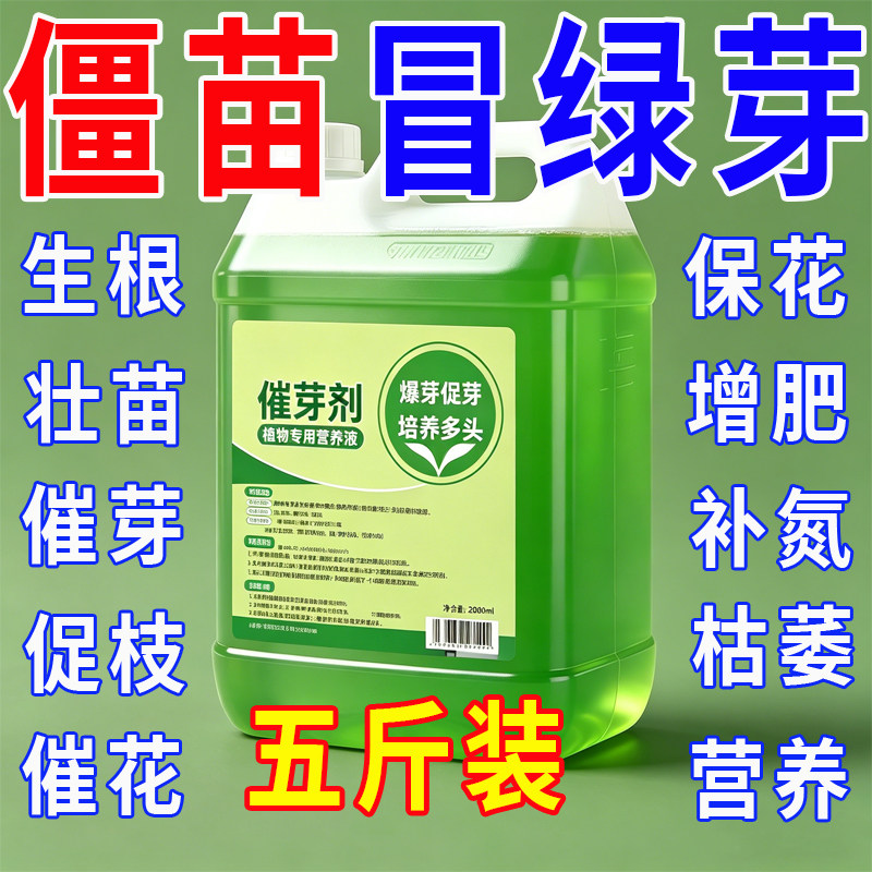 【芽喷哪长哪】植物催芽剂老桩促发芽月季三角梅发财树优芽素通用
