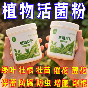 植物活菌粉兰花专用微生物菌肥养根壮根防烂根水溶养花新型肥料