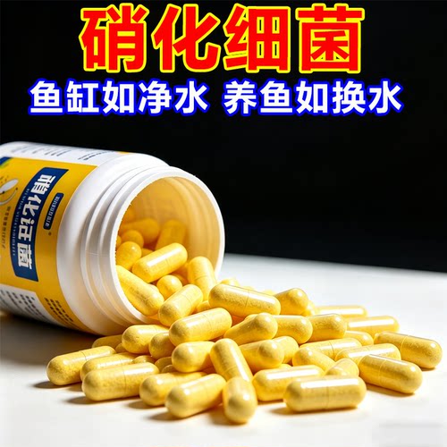 硝化细菌鱼缸用净水剂鱼囊养鱼净化水质稳定剂分解鱼粪消化活菌粉