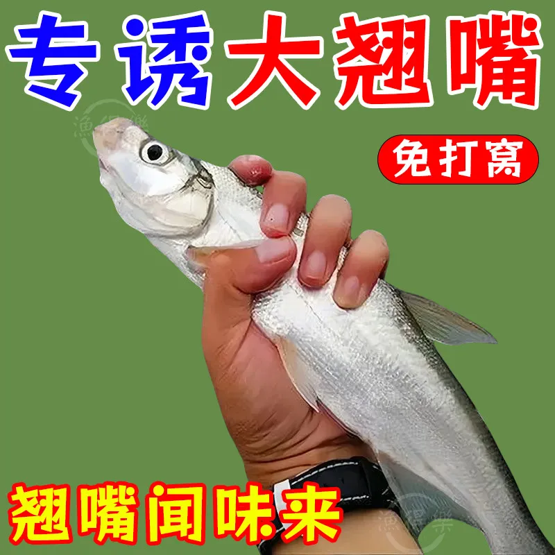 翘嘴狂提饵料添加剂翘嘴专用小药野钓黑坑钓大翘嘴专用饵料诱鱼剂