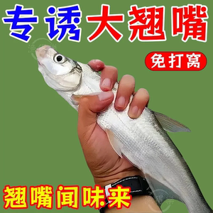 翘嘴狂提饵料添加剂翘嘴专用小药野钓黑坑钓大翘嘴专用饵料诱鱼剂