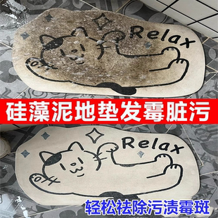 硅藻泥地垫发霉清理除卫生间地毯水洗专用去除污渍清洗剂神器wg