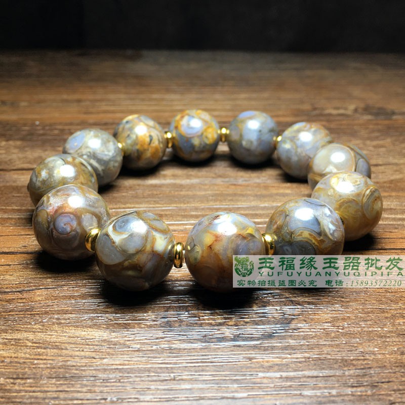 西藏海螺化石老矿法螺玉石天珠 手链手串项链天眼原石吊坠手串