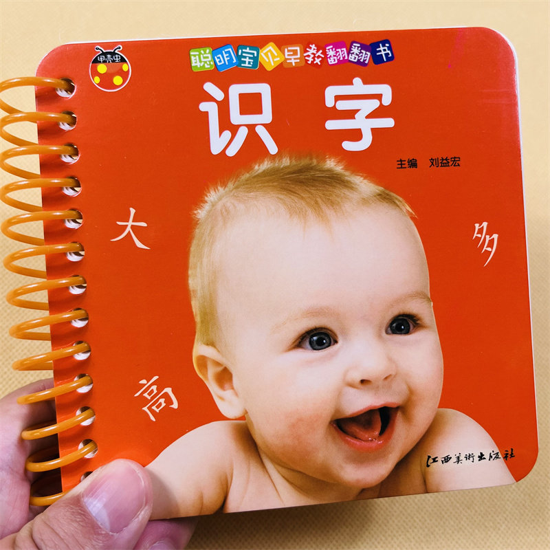 甲壳虫启蒙早教翻翻书识字