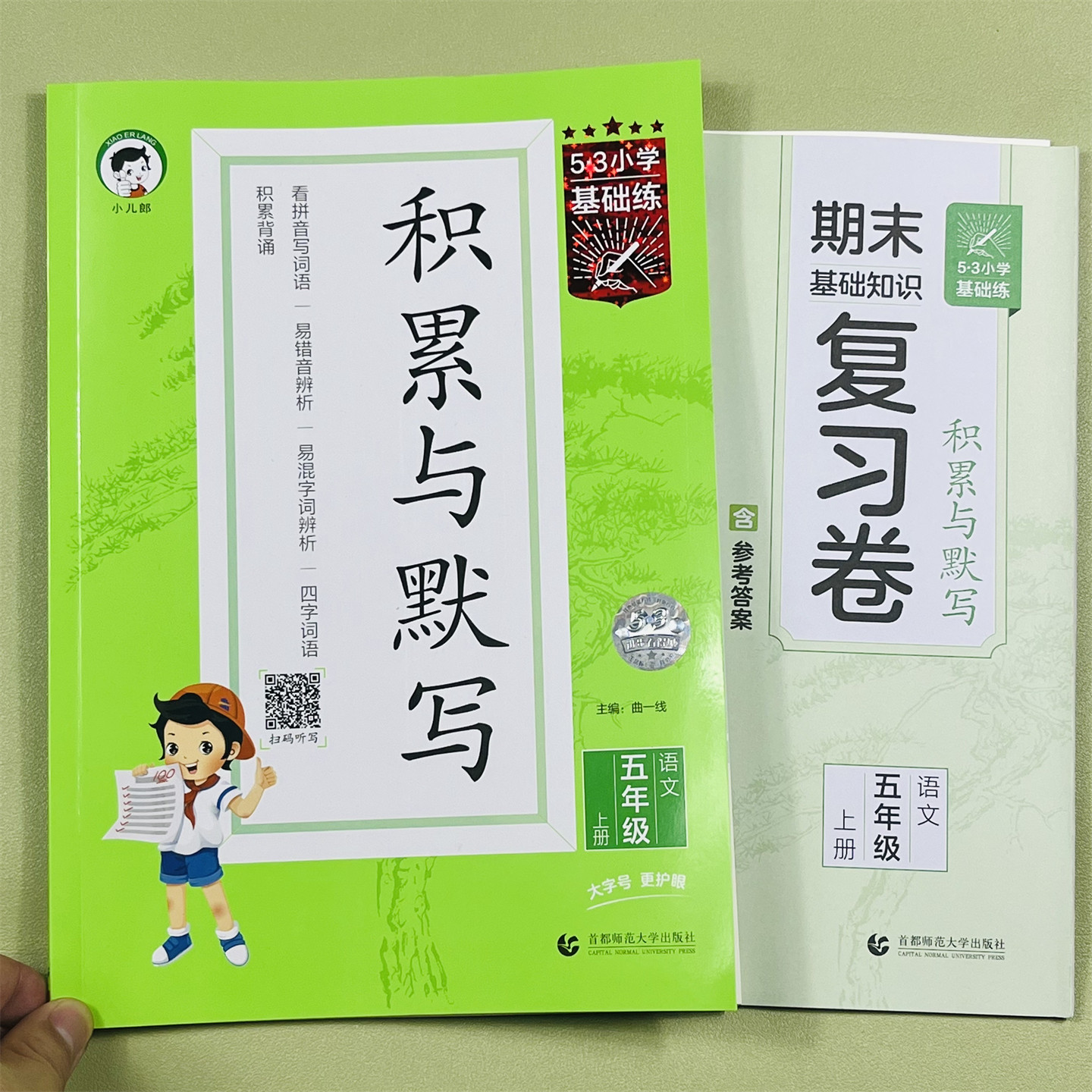 小学语文积累与默写五年级上册