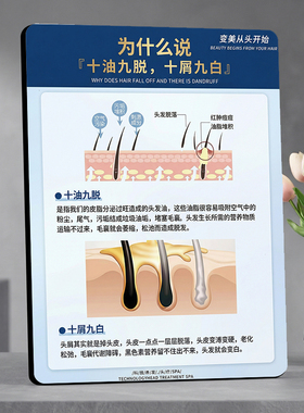 十油九脱十屑九白养发 美容院店内宣传桌面摆件