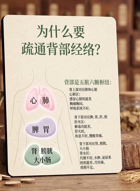 疏通背部经络美容院店内宣传桌面摆件