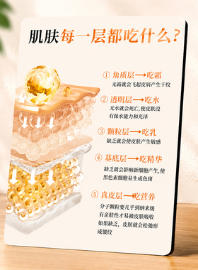 肌肤分层保养知识展示牌美容院美容店桌面装饰摆件