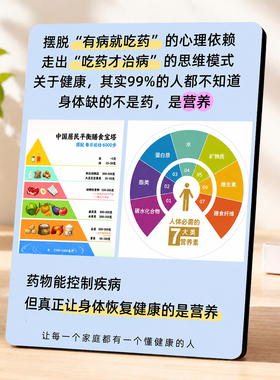 平衡膳食宝塔七大营养素健康知识科普居家客厅桌面装饰摆件