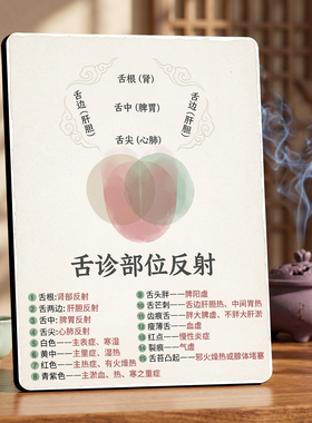 舌诊部位反射美容院养生馆店内展示桌面摆件