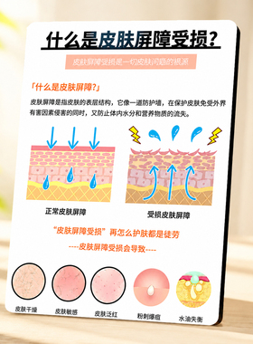 美容院皮肤屏障受损科普展示牌护肤门店前台桌面装饰摆件
