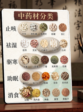 中药材分类 养生馆店内宣传展示 桌面摆件
