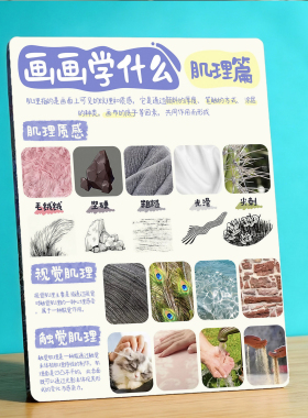 画画肌理科普 美术画室店内展示桌面摆件辅助教学