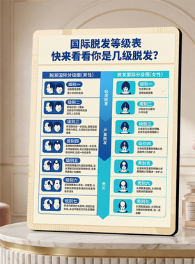 养发馆理发店国际脱发等级表科普展示装饰摆件
