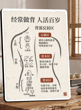 背部反射区养生科普 美容院店内宣传桌面摆件