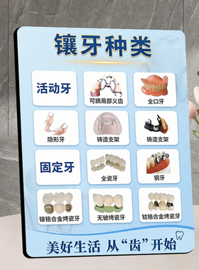 镶牙种类科普 口腔门店宣传展示 桌面摆件