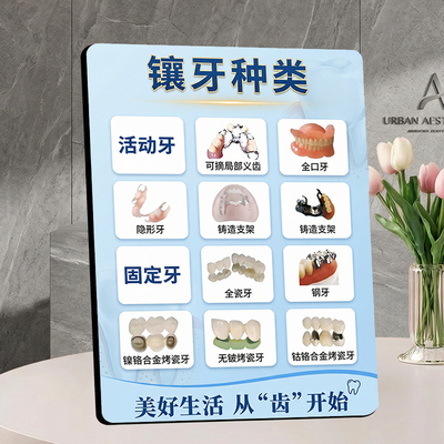 镶牙种类科普 口腔门店宣传展示 桌面摆件