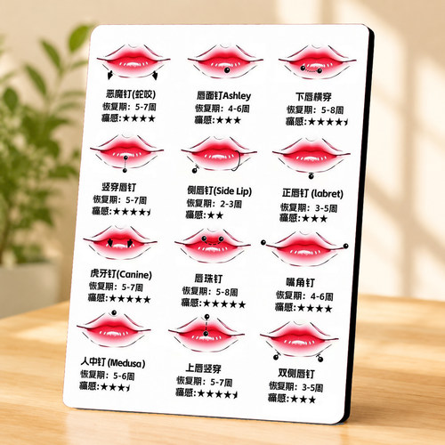 创意网红穿孔店唇部穿刺科普展示牌唇钉位置介绍装饰摆件